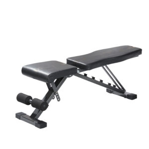 Reasonably priced Adjustable Dumbbell Weight Lifting Bench and Sit-Up Gear for Dwelling Gymnasium Health