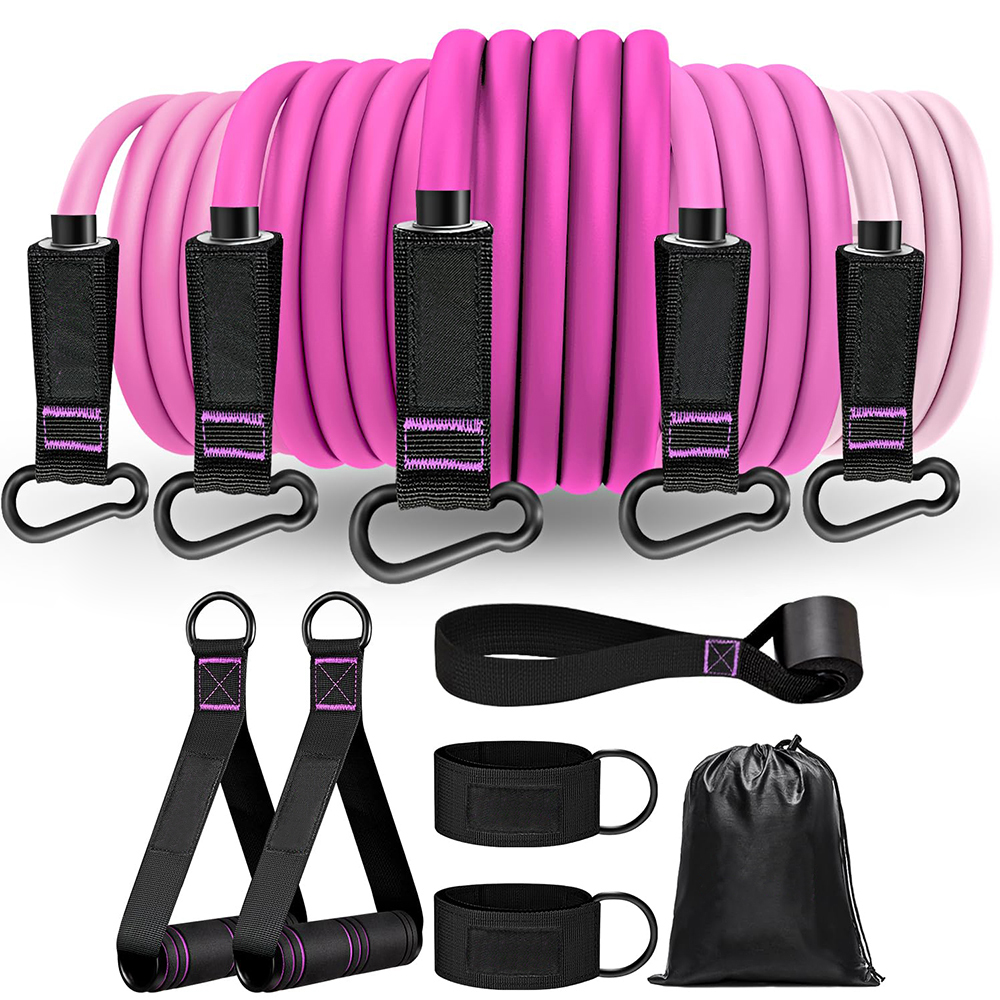 Excessive-High quality Latex Resistance Band Set with Handy Storage for Residence Exercises and Pull-Up Coaching